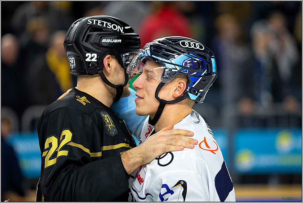 PENNY DEL;  Kölner Haie - ERC Ingolstadt; Köln, 25.11.2022